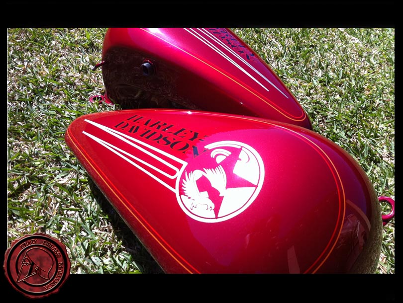 Crazy Dreams Mallorca, Cars