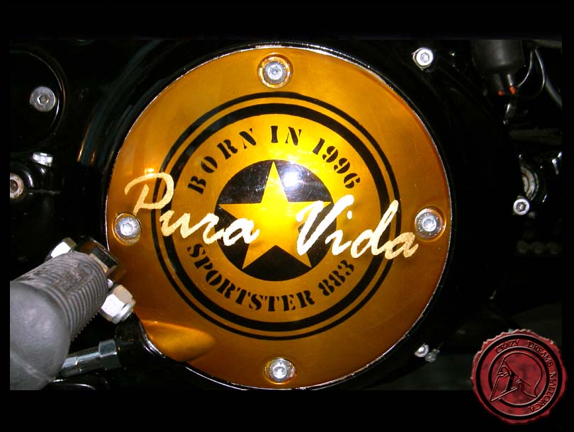 Crazy Dreams Mallorca, Addict Bike