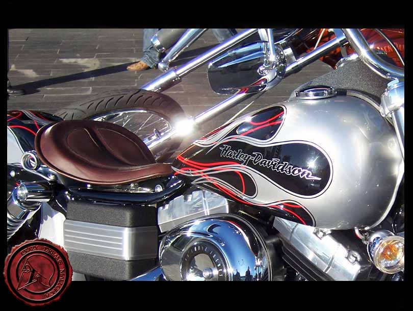 Crazy Dreams Mallorca,Angus Bike