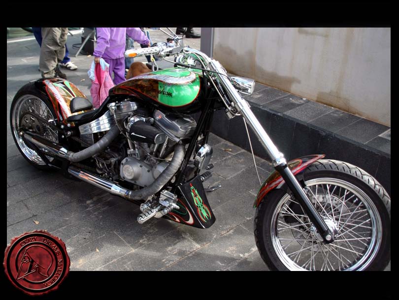 Crazy Dreams Mallorca, Custom Verde Bike