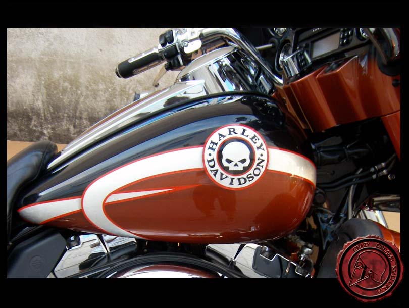 Crazy Dreams Mallorca, Electra Bike