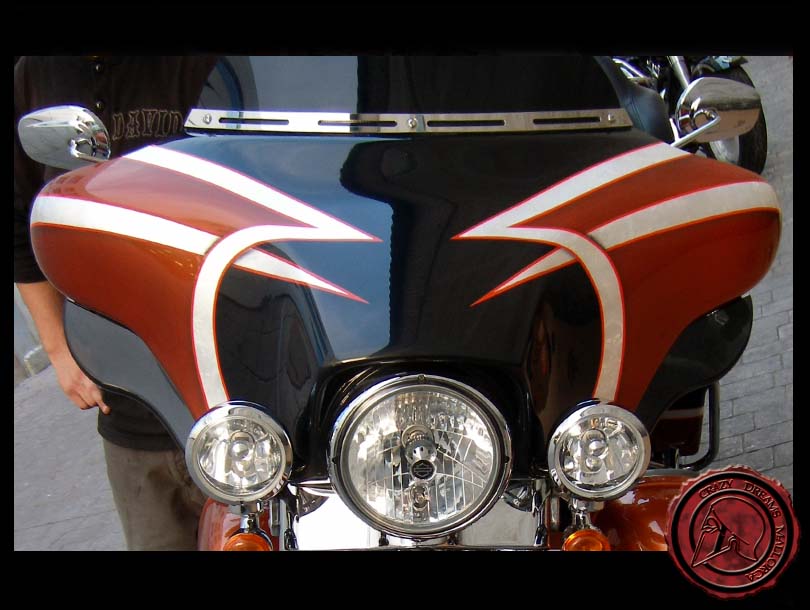 Crazy Dreams Mallorca, Electra Bike