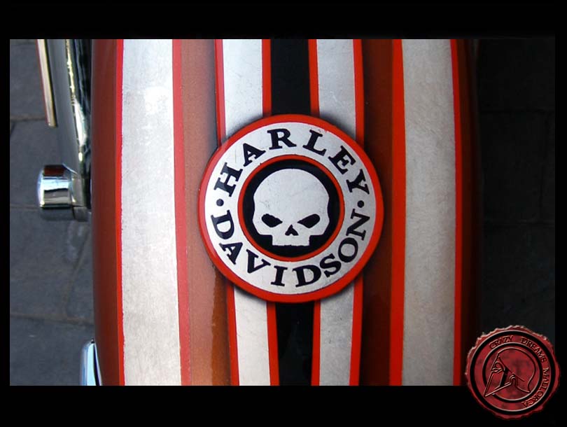 Crazy Dreams Mallorca, Electra Bike