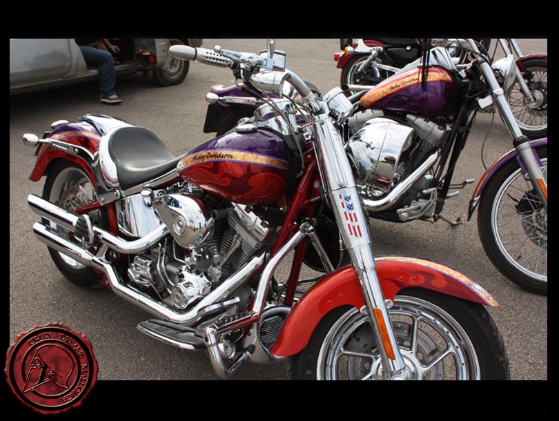 Crazy Dreams Mallorca, Classic Bike