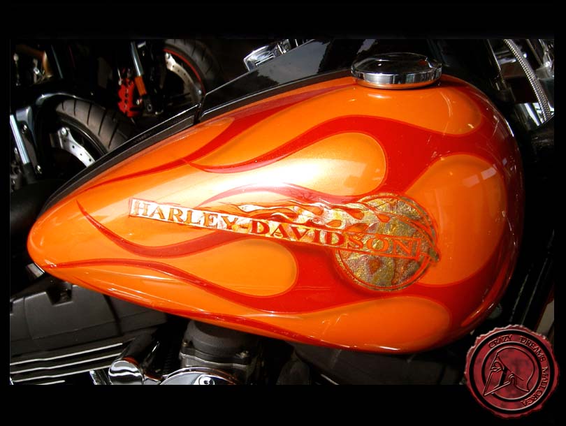 Crazy Dreams Mallorca, Lava Bike