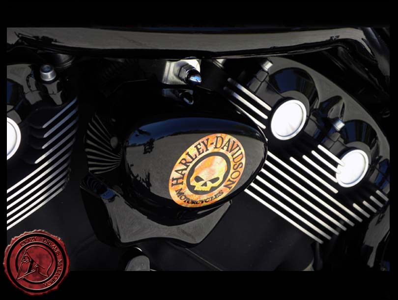 Crazy Dreams Mallorca, Madrid Vrod Bike