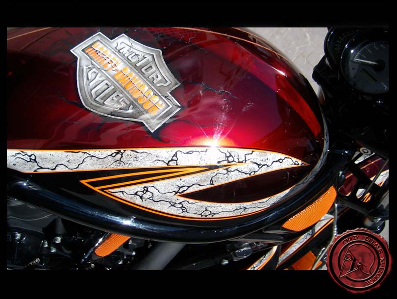 Crazy Dreams Mallorca, Vrod Bike