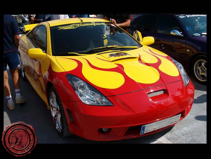 Crazy Dreams Mallorca, Celica