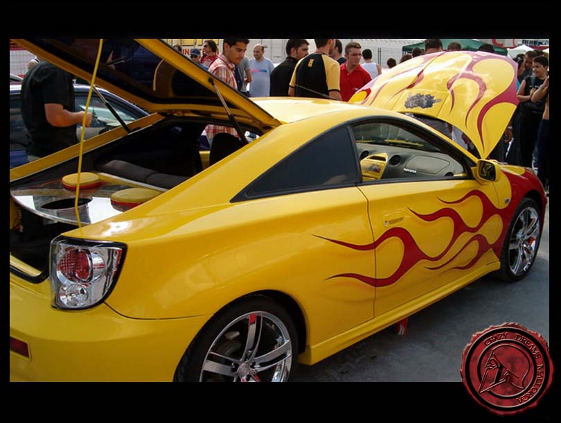 Crazy Dreams Mallorca, Celica