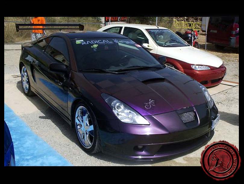 Crazy Dreams Mallorca, Celica Camaleón