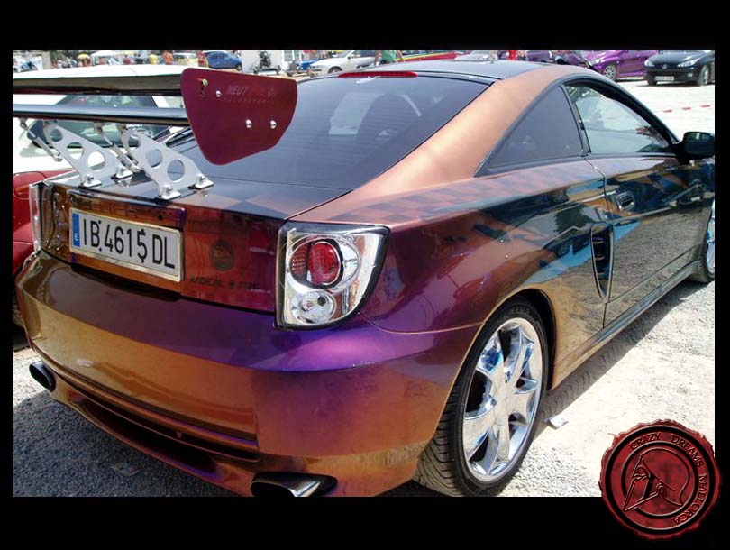 Crazy Dreams Mallorca, Celica Camaleón