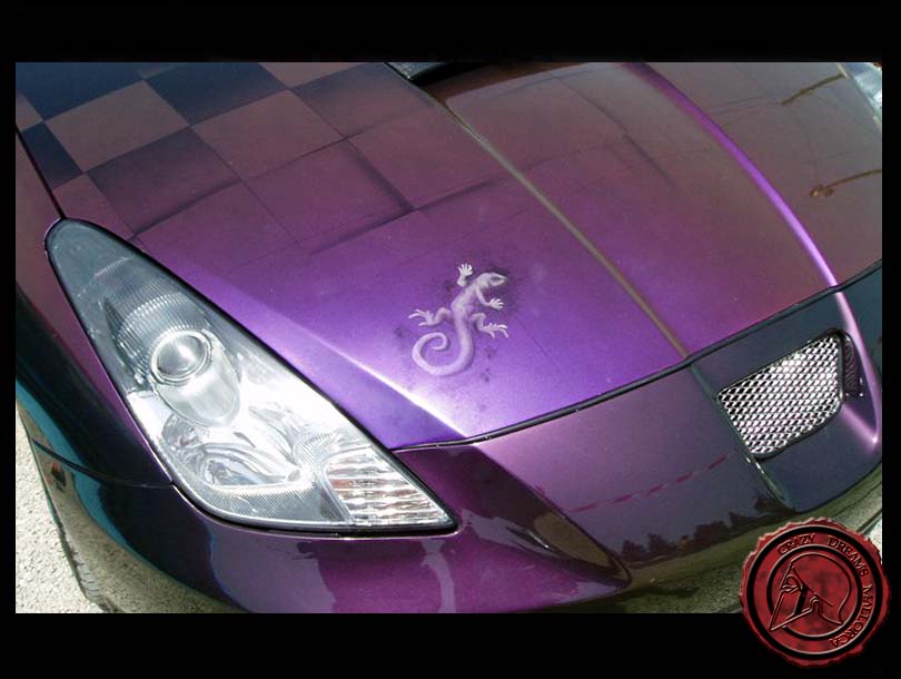 Crazy Dreams Mallorca, Celica Camaleón