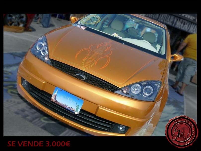 Crazy Dreams Mallorca, Focus