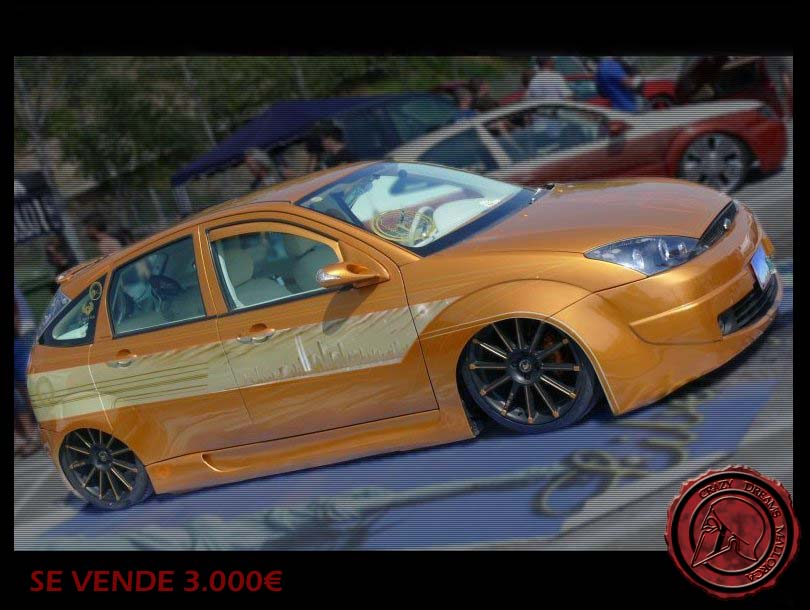 Crazy Dreams Mallorca, Focus