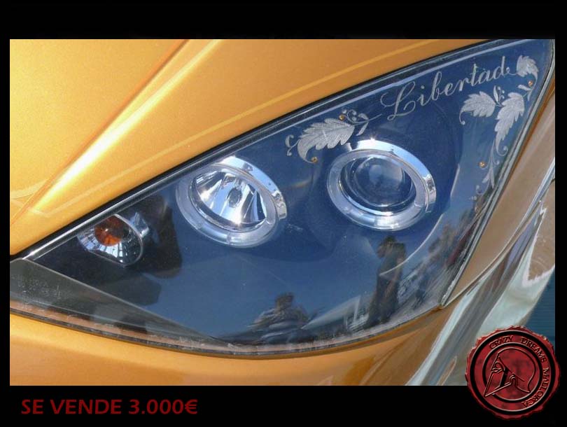 Crazy Dreams Mallorca, Focus