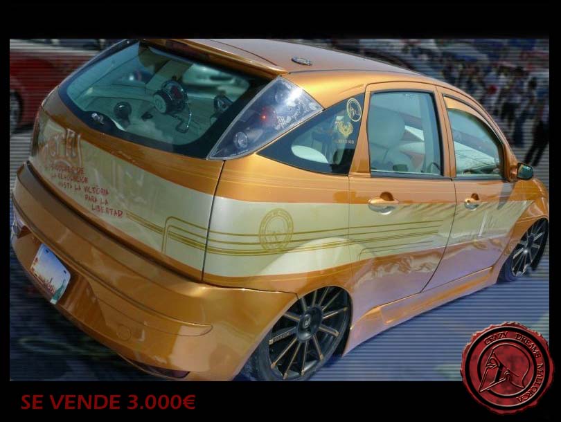 Crazy Dreams Mallorca, Focus