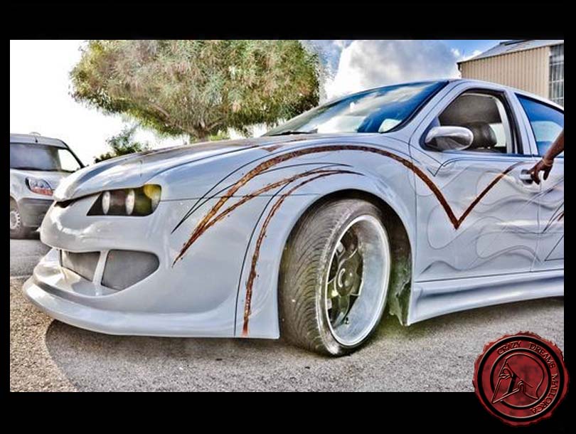 Crazy Dreams Mallorca, León Teddy