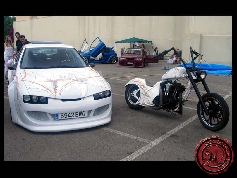 Crazy Dreams Mallorca, León Teddy