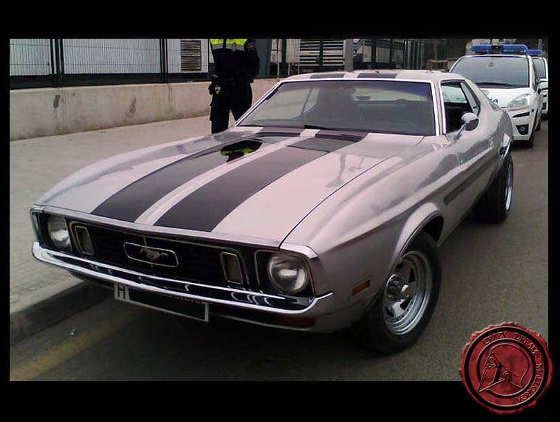 Crazy Dreams Mallorca, MG