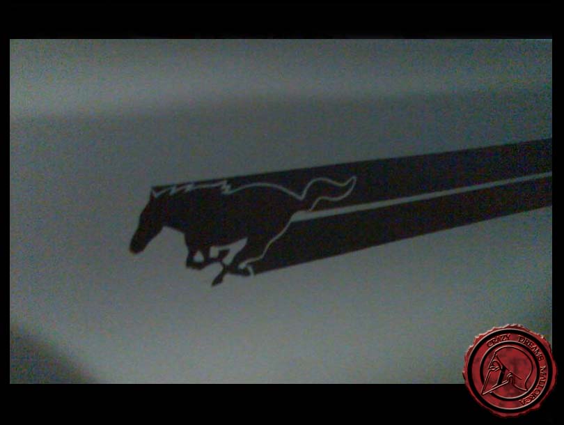 Crazy Dreams Mallorca, MG