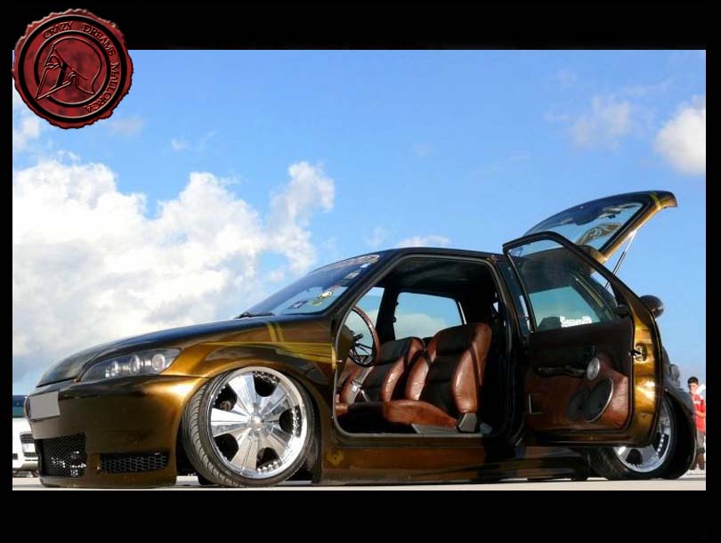 Crazy Dreams Mallorca, P 106