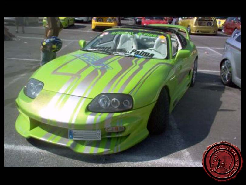 Crazy Dreams Mallorca,Supra