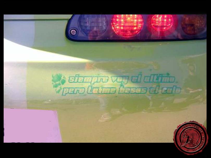 Crazy Dreams Mallorca,Supra