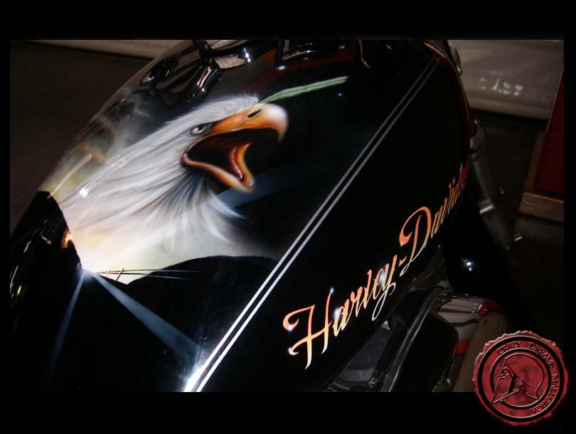 Crazy Dreams Mallorca, Varios