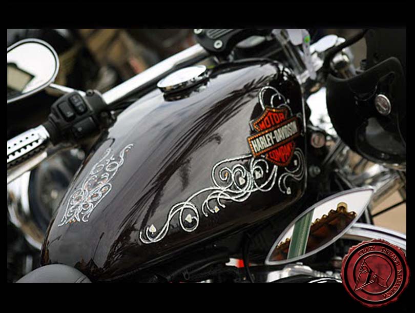 Crazy Dreams Mallorca, Varios